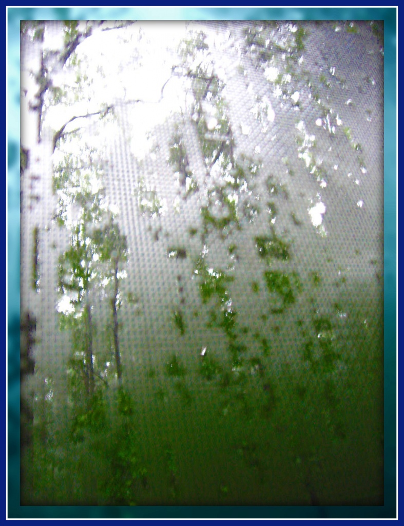 Oh Good... More Rain! by olivetreeann