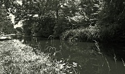 11th Jul 2011 - Canal Revisited - This time highly processed B/W