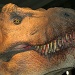 Tyrannasaurus Rex by netkonnexion