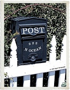 9th Jul 2011 - Post Box