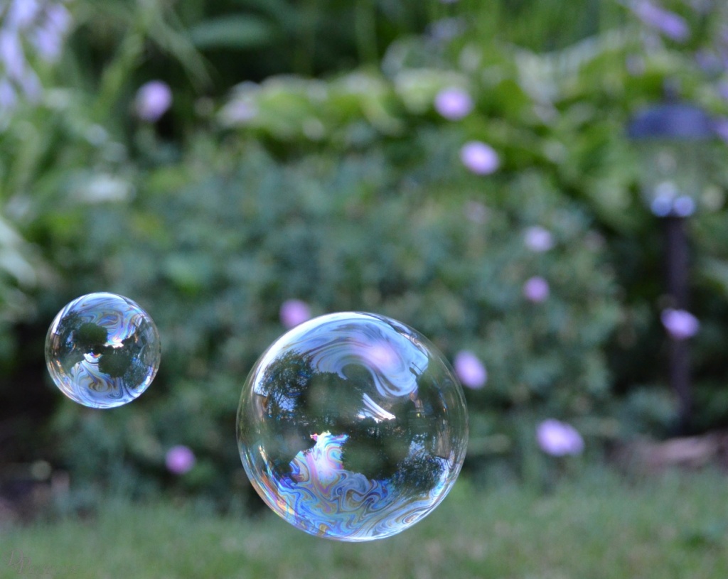 Tiny bubbles by dora