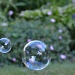 Tiny bubbles by dora