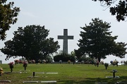 11th Jul 2011 - Geocaching in a cemetery