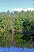 14th Jul 2011 - Reflection Pond