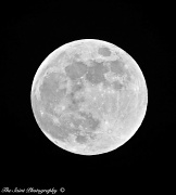 15th Jul 2011 - Full 'Thunder' Moon.
