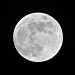 Full 'Thunder' Moon. by stcyr1up
