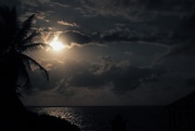 15th Jul 2011 - moonlight, palm trees, ocean - a magical recipe