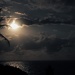 moonlight, palm trees, ocean - a magical recipe by lbmcshutter