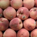 Peaches at Kroger's 7.15.11 by sfeldphotos