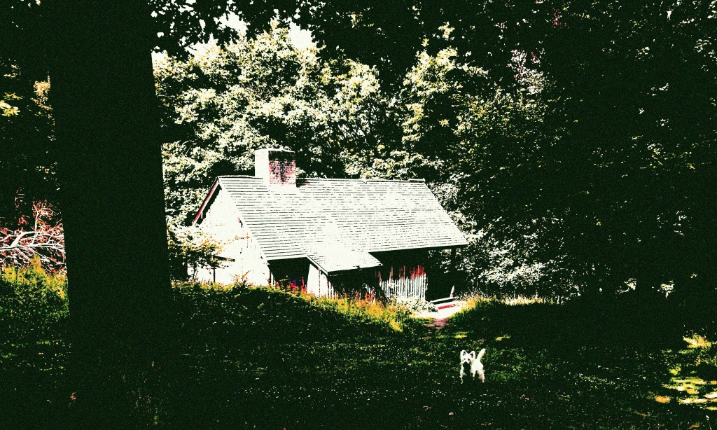 Cottage in the wood..... and Flossie by dulciknit