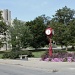 Indiana University Campus by lisabell