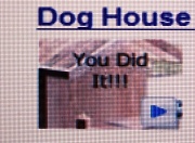 15th Jul 2011 - I'M IN THE DOG HOUSE (pls. read the story)