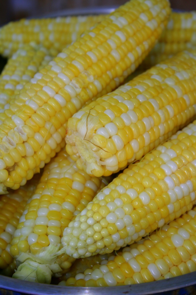 Clambake Corn by glennharper