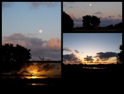 14th Jul 2011 - A-Z: Night and Day
