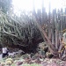 Cacti is huge by jnadonza