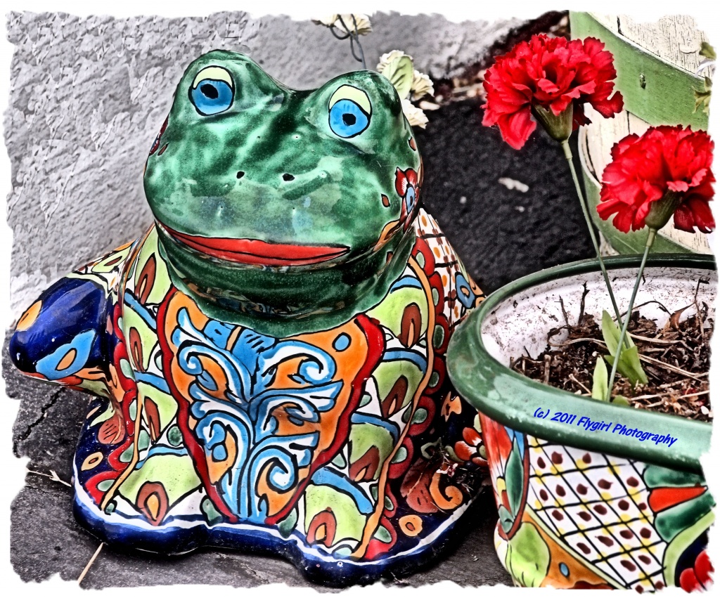 Mr Frog by flygirl