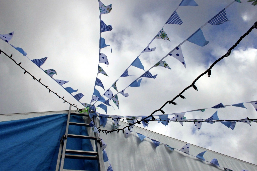 Bunting by rich57