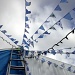 Bunting by rich57