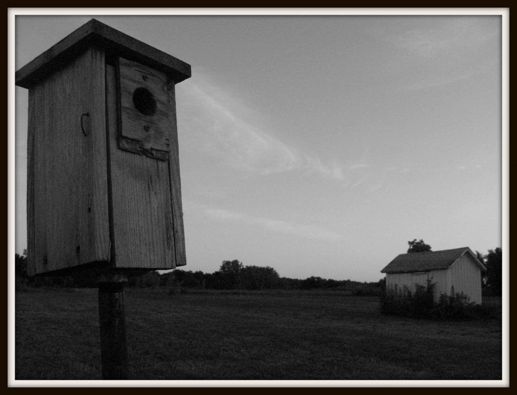 Doc's Birdhouse by olivetreeann