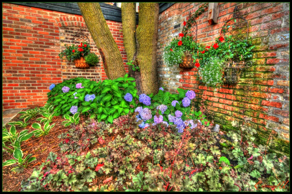 Flower Patch by exposure4u