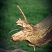 Greater horned wood slug by sabresun