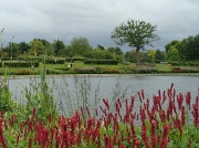 18th Jul 2011 - RHS gardens at Wisley