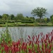 RHS gardens at Wisley by busylady