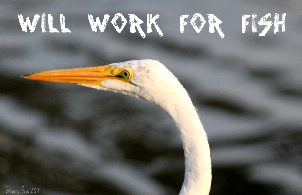 Will Work for Fish by grannysue