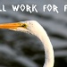 Will Work for Fish by grannysue