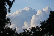 19th Jul 2011 - Puffy Clouds