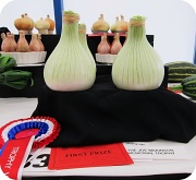 19th Jul 2011 - Prize onions.