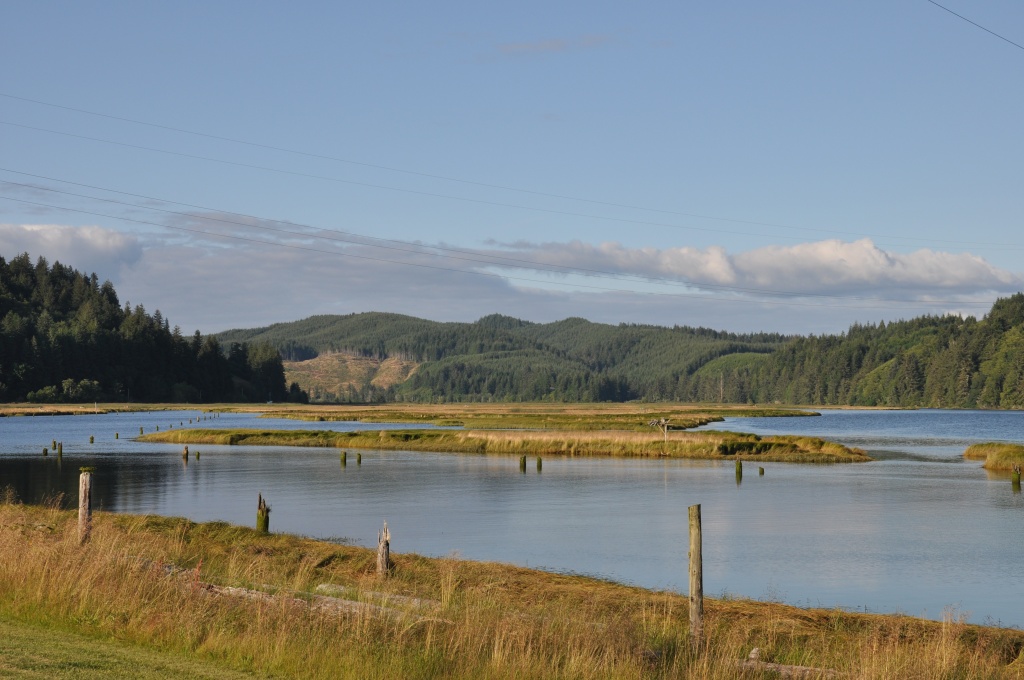 North Fork of the Siuslaw River by mamabec