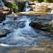 Thompson Falls by dora