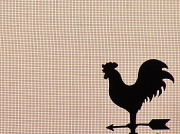 20th Jul 2011 - Rooster Screen