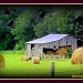 A time to build bigger barns... by vernabeth