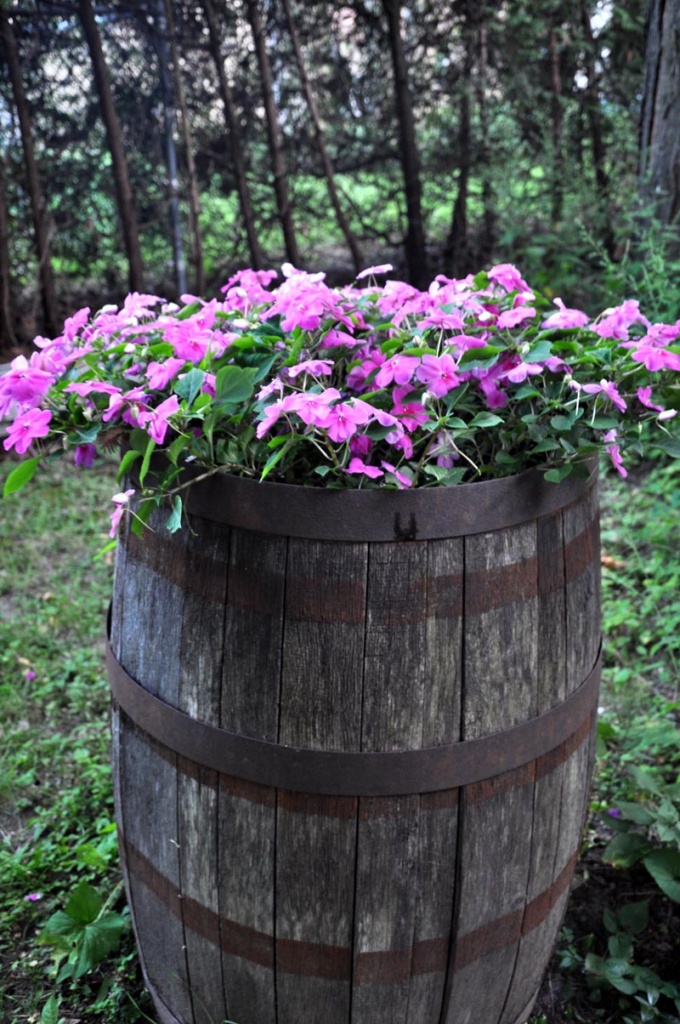 Barrel of flowers by cwarrior