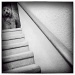 Dog on a Stair by aikiuser