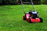 9th Apr 2010 - 'little red mower' 