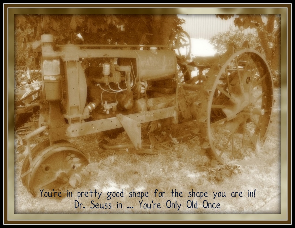Old Tractor by olivetreeann