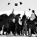 Graduation Day by andycoleborn