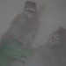 Dinos from the Mist:  Attack! by glennharper