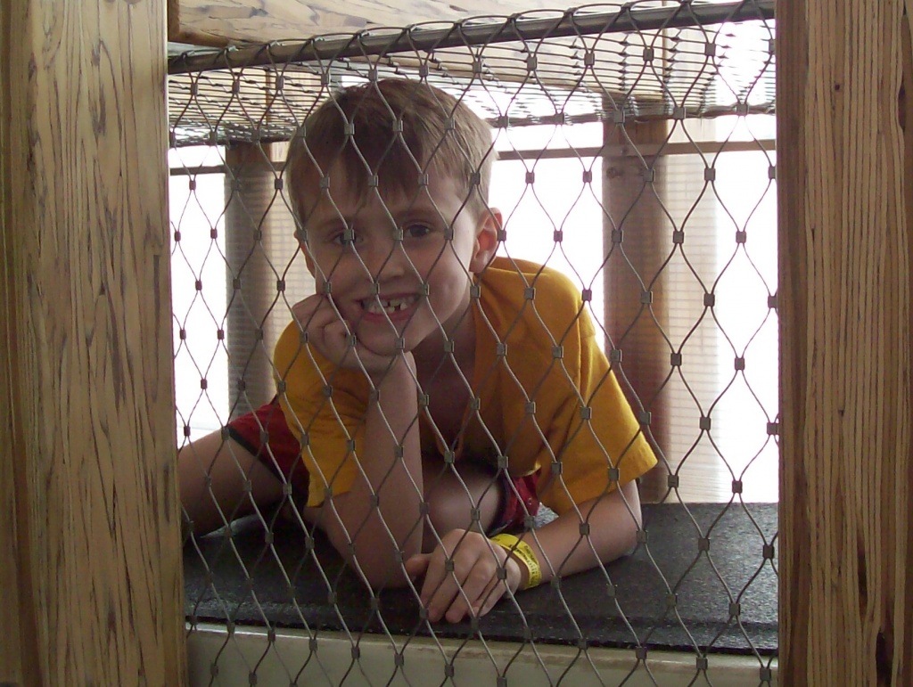 I Keep My Son in a Cage by julie