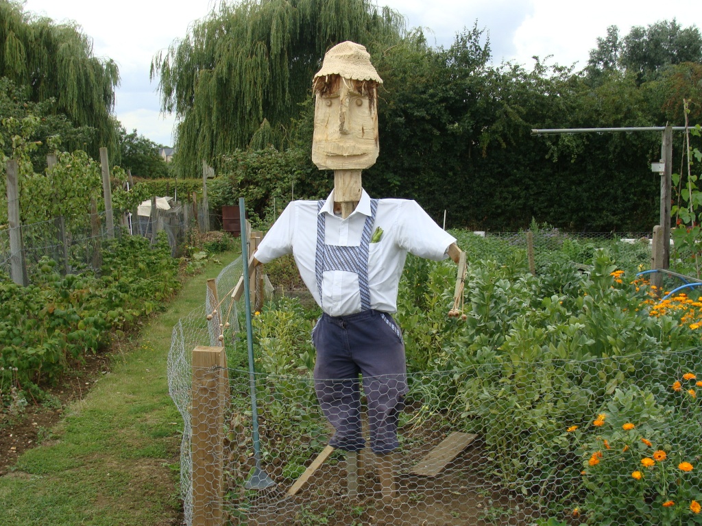 Scarecrow by busylady