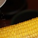 Corn on the cob by svestdonley