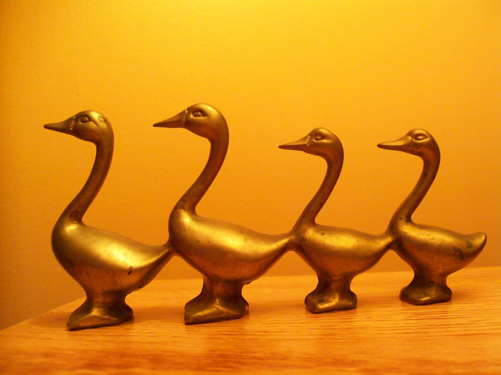 Golden Ducks in a Row by julie