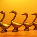Golden Ducks in a Row by julie