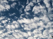 27th Jul 2011 - Marshmallow sky.