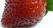 28th Jul 2011 - Strawberry