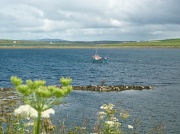 25th Jul 2011 - View from the lifeboat museum, Brims, Hoy.