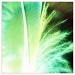 Green feather by mastermek